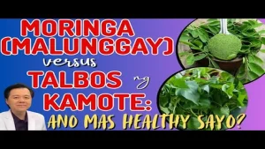 Moringa (Malunggay) versus Talbos ng Kamote - By: Malunggay vs Talbos ng Kamote: Ano ang Mas...