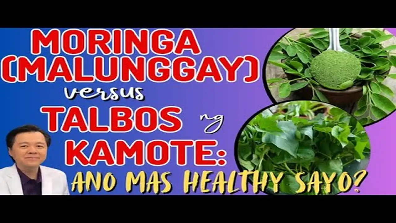 Moringa (Malunggay) versus Talbos ng Kamote - By: Malunggay vs Talbos ng Kamote: Ano ang Mas...